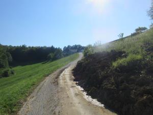 Plaz Orehovec-Bizjak